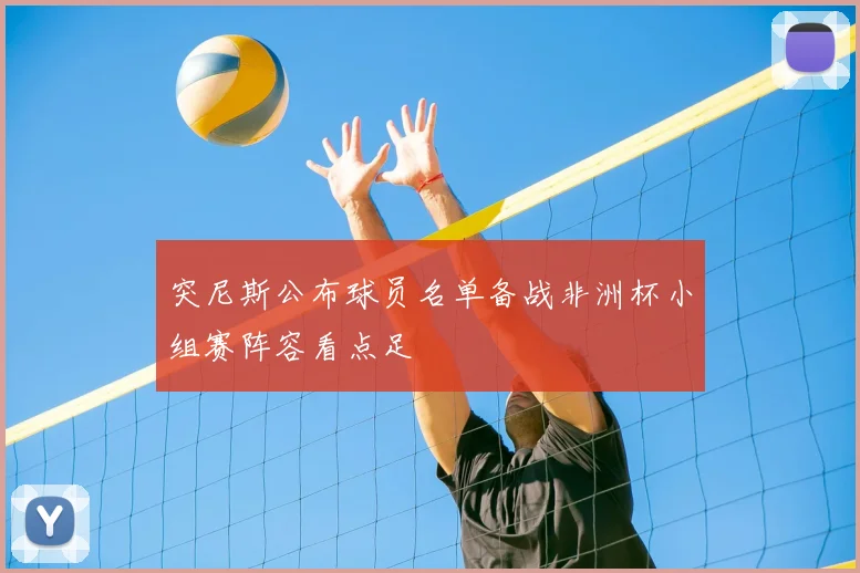 突尼斯公布球员名单备战非洲杯小组赛阵容看点足